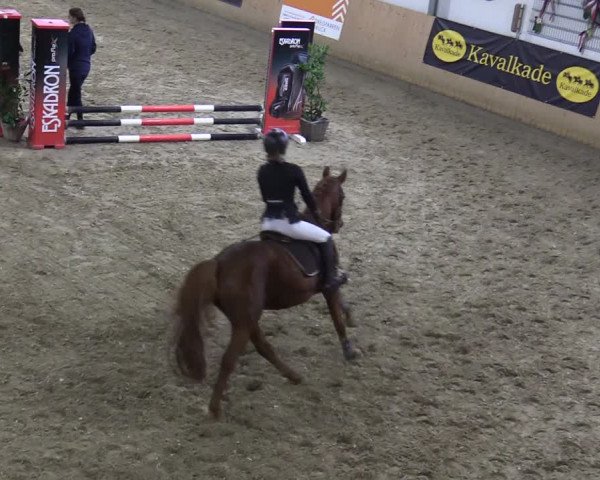 Reitturnier Borgholzhausen-Westbarthausen 2021
