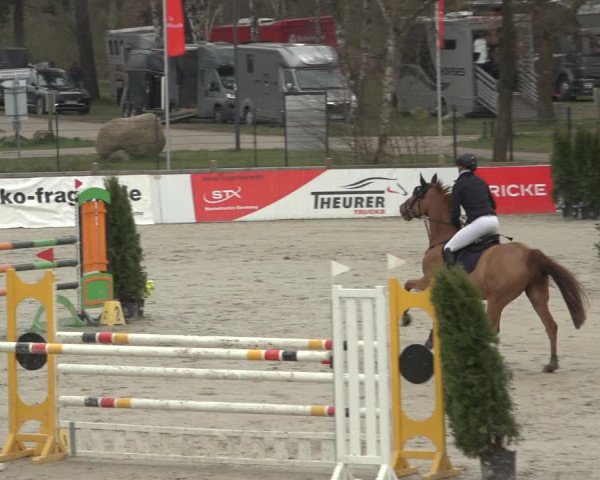 Reitturnier Westergellersen 2023