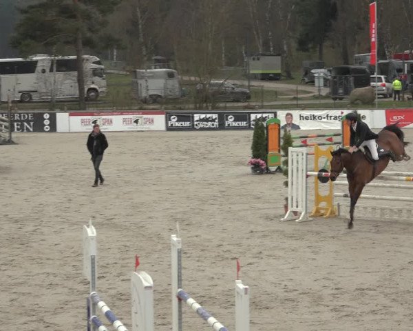 Reitturnier Westergellersen 2023