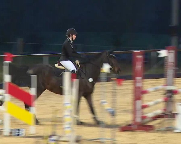 Reitturnier Altentrüdingen/Mfr. 2023