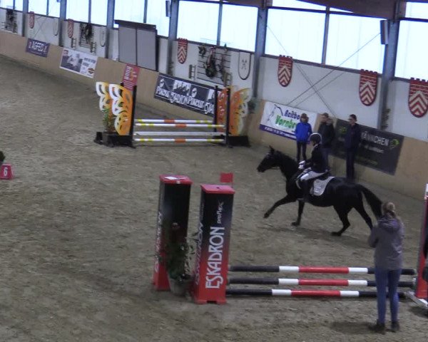 Reitturnier Borgholzhausen-Westbarthausen 2021