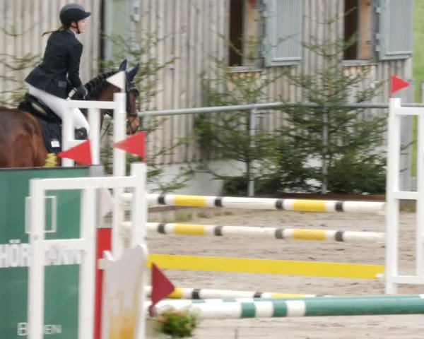 Reitturnier Herrenberg 2023