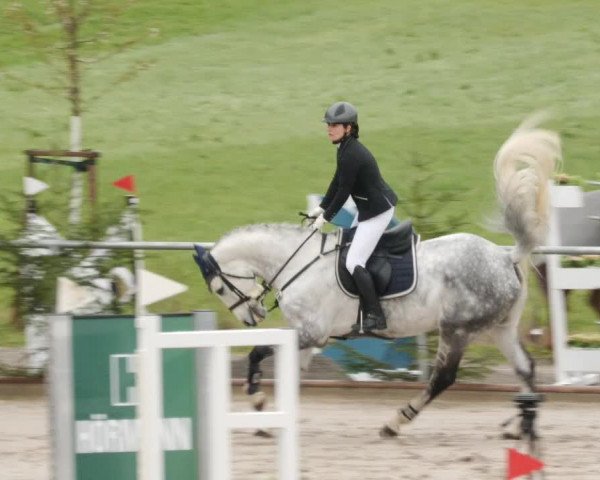 Reitturnier Herrenberg 2023
