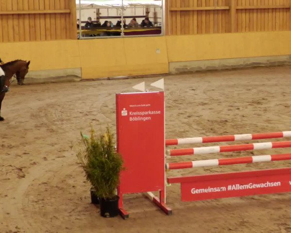 Reitturnier Herrenberg 2023