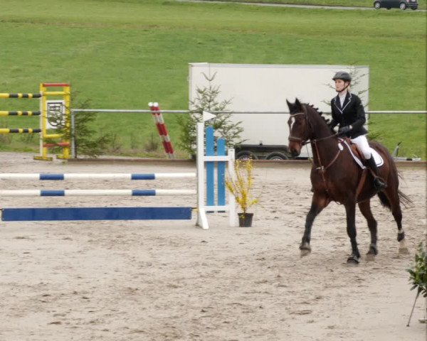 Reitturnier Herrenberg 2023