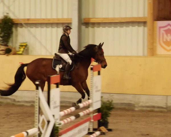 Reitturnier Herrenberg 2023