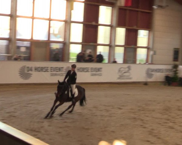 Reitturnier Prussendorf 2021