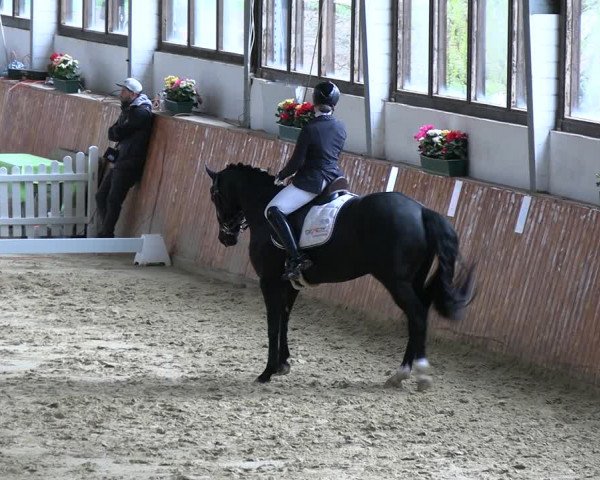 Reitturnier Werne-Lenklar 2023