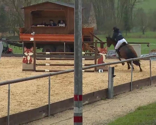 Reitturnier Altentrüdingen/Mfr. 2023