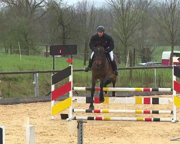 Reitturnier Altentrüdingen/Mfr. 2023