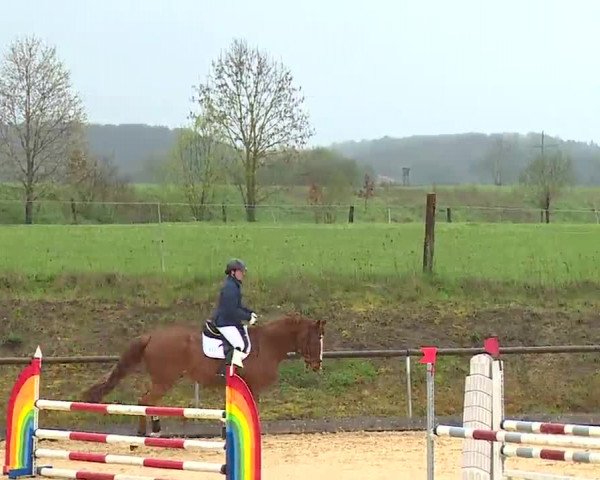 Reitturnier Altentrüdingen/Mfr. 2023
