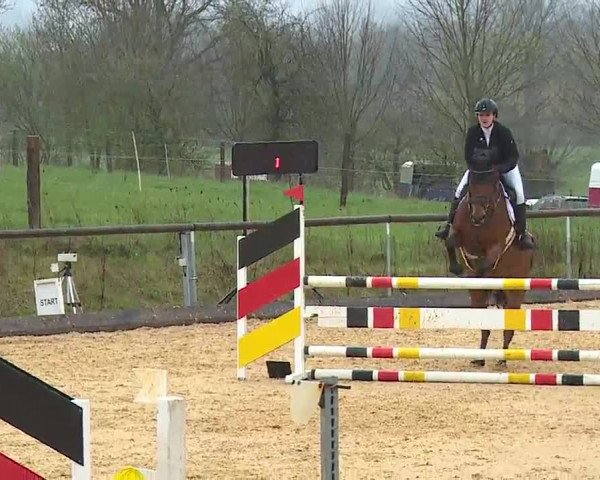 Reitturnier Altentrüdingen/Mfr. 2023