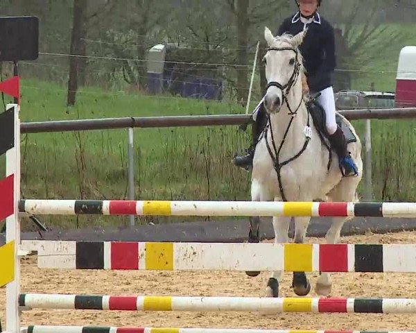 Reitturnier Altentrüdingen/Mfr. 2023