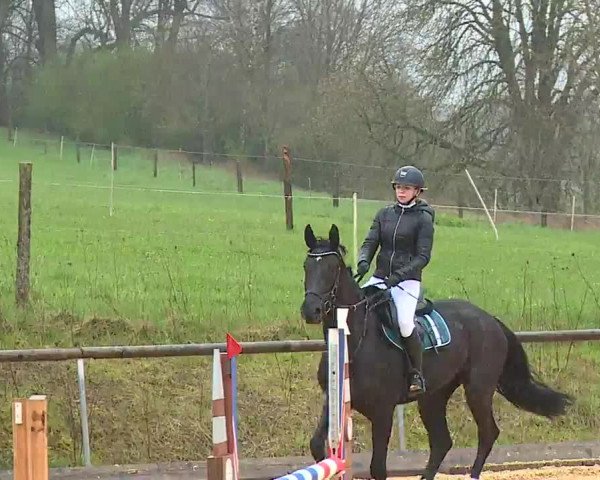 Reitturnier Altentrüdingen/Mfr. 2023