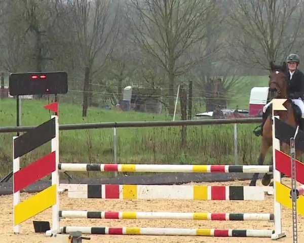 Reitturnier Altentrüdingen/Mfr. 2023