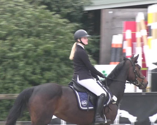 Reitturnier Klein Roscharden 2023