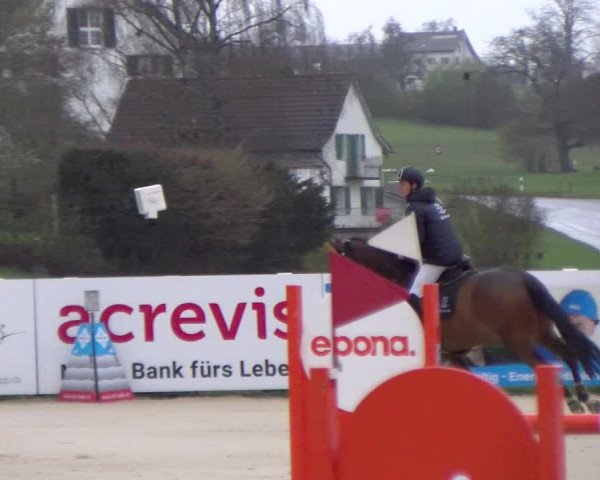 Reitturnier Wädenswil 2023