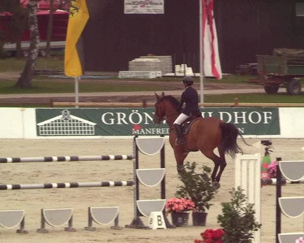 Reitturnier Westergellersen 2023