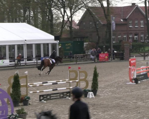 Reitturnier Klein Roscharden 2023