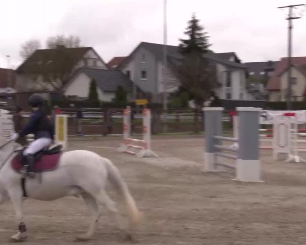 Reitturnier Poxdorf/Ofr 2023