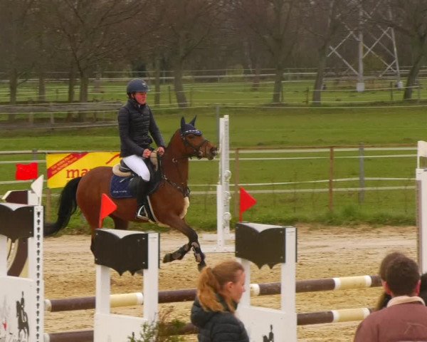 Reitturnier Wutzetz 2023