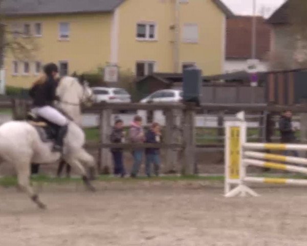 Reitturnier Poxdorf/Ofr 2023
