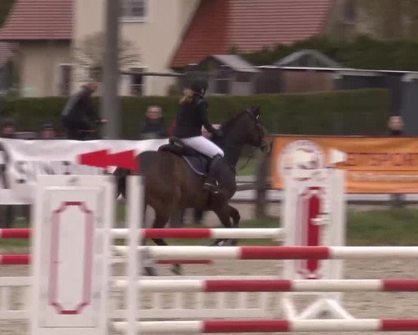 Reitturnier Poxdorf/Ofr 2023