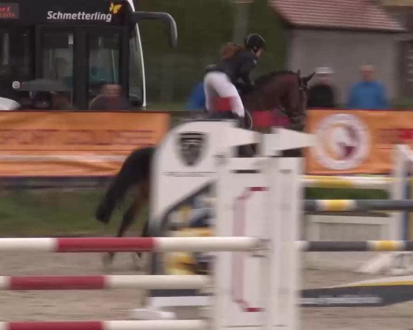 Reitturnier Poxdorf/Ofr 2023