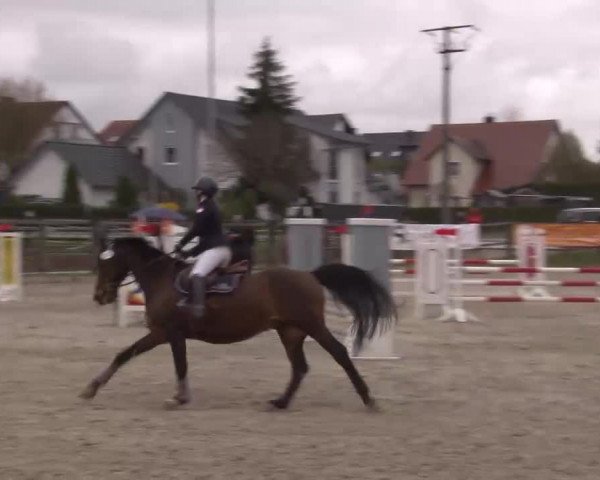 Reitturnier Poxdorf/Ofr 2023