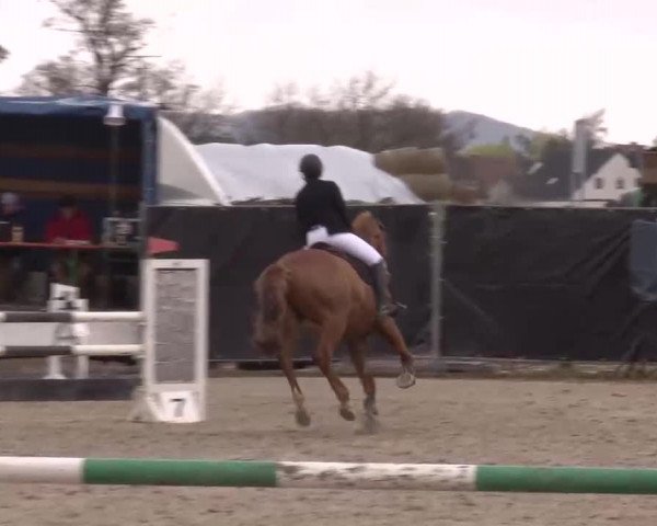 Reitturnier Poxdorf/Ofr 2023