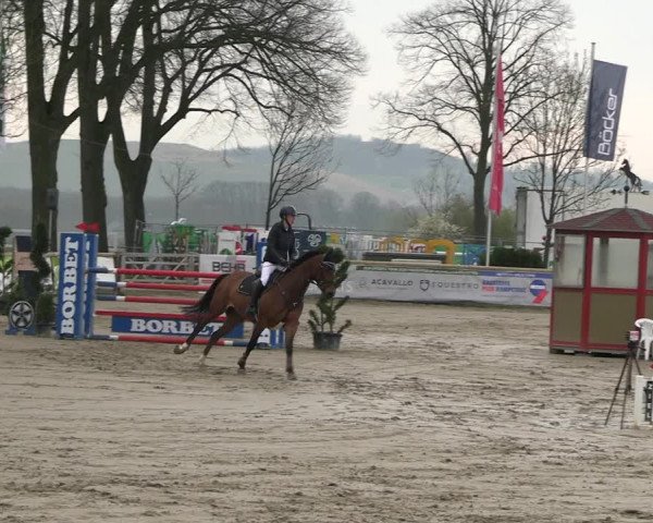 Reitturnier Werne-Lenklar 2023