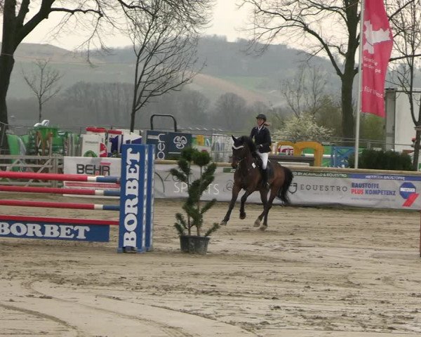 Reitturnier Werne-Lenklar 2023