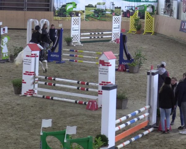 Reitturnier Borgholzhausen-Westbarthausen 2021