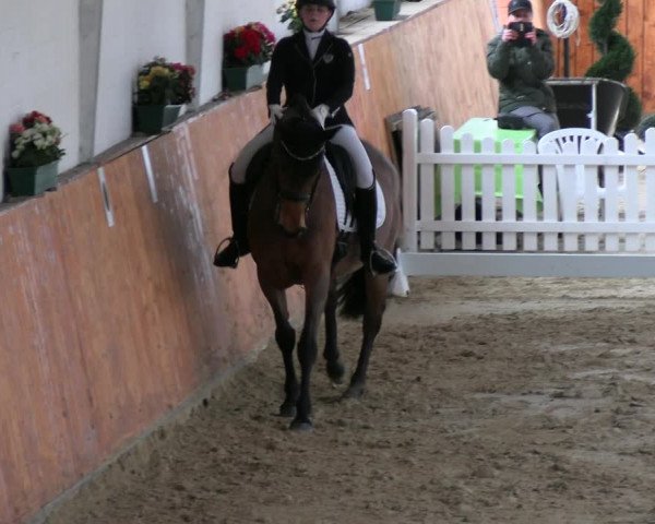 Reitturnier Werne-Lenklar 2023