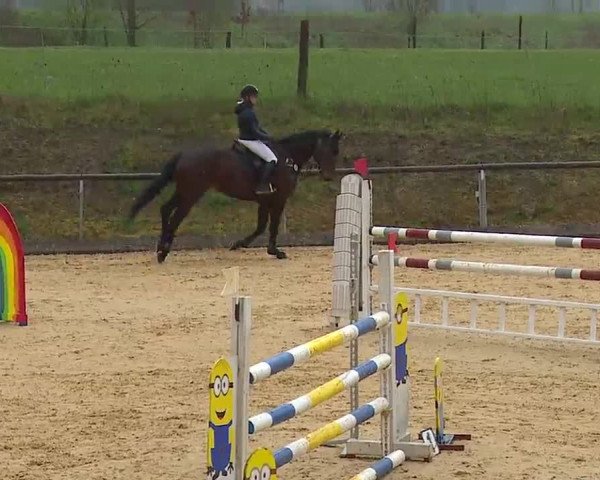 Reitturnier Altentrüdingen/Mfr. 2023