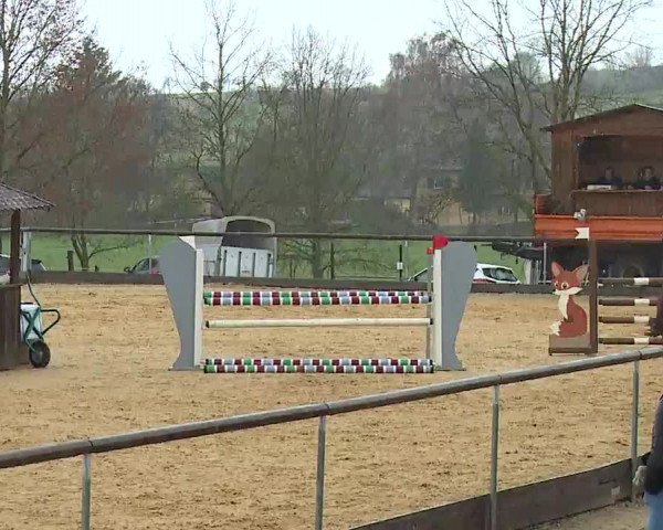 Reitturnier Altentrüdingen/Mfr. 2023