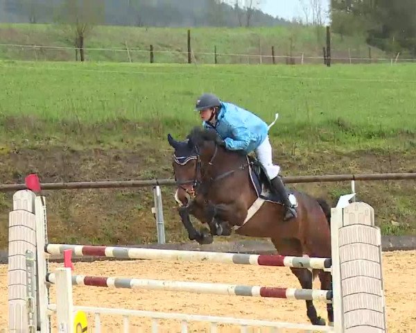 Reitturnier Altentrüdingen/Mfr. 2023