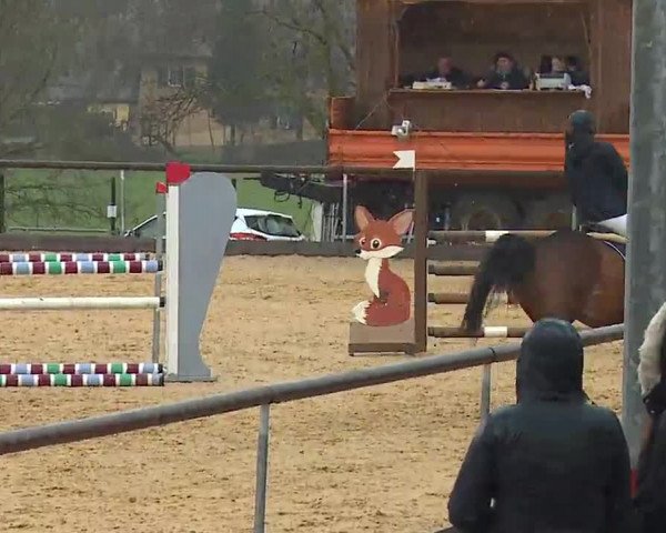 Reitturnier Altentrüdingen/Mfr. 2023