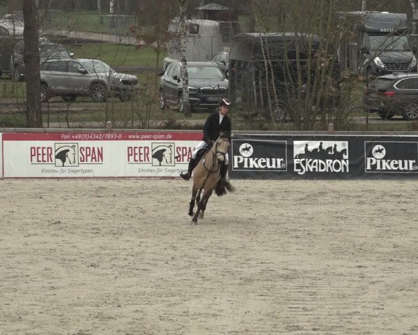 Reitturnier Westergellersen 2023