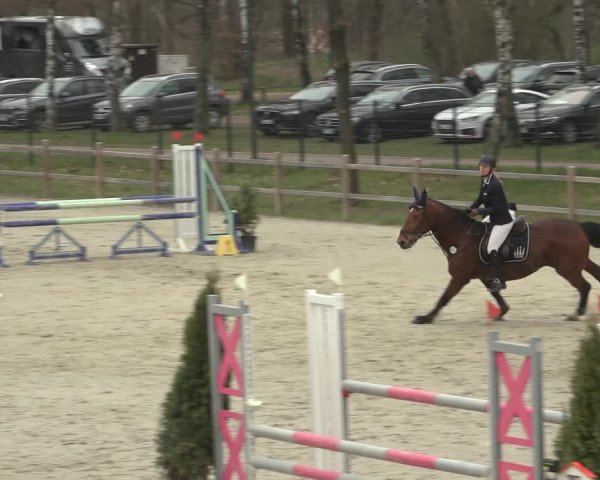 Reitturnier Westergellersen 2023