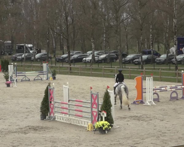 Reitturnier Westergellersen 2023