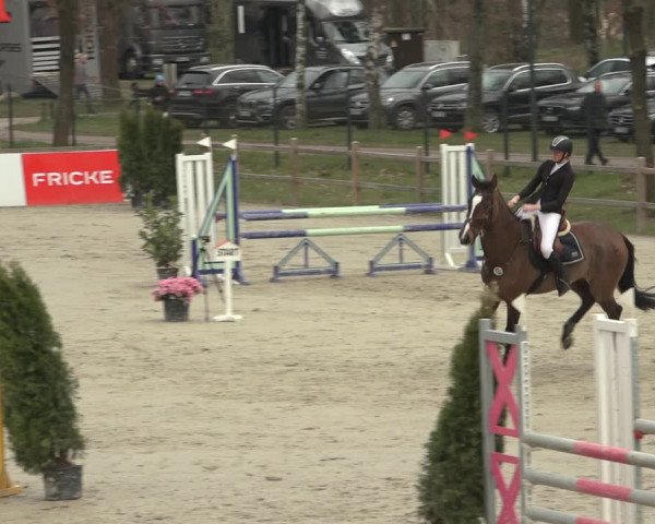 Reitturnier Westergellersen 2023