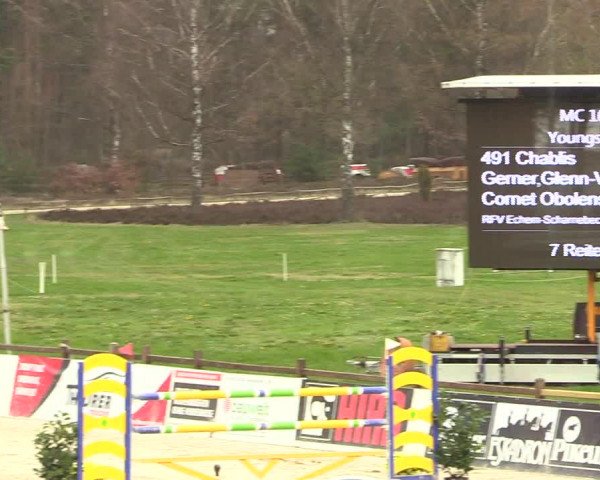 Reitturnier Westergellersen 2023