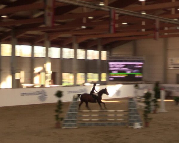 Reitturnier Prussendorf 2021