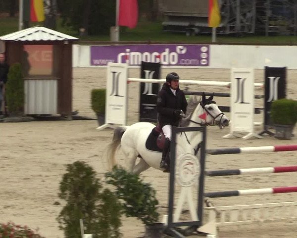 Reitturnier Westergellersen 2023