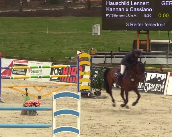 Reitturnier Westergellersen 2023