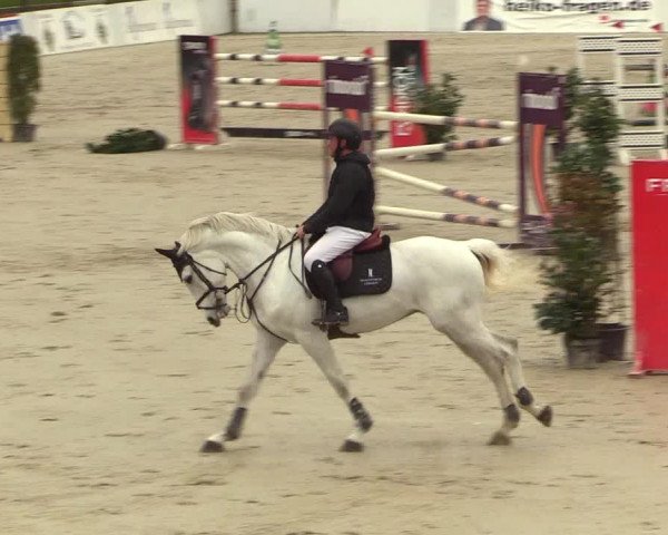 Reitturnier Westergellersen 2023