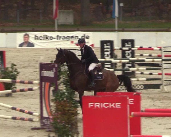 Reitturnier Westergellersen 2023