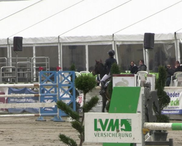 Reitturnier Werne-Lenklar 2023