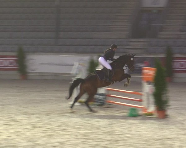 Reitturnier Aachen 2023